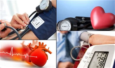 kalp sağlığı risk değerlendirmesi kutsal kalp kolej alt hutt öğretmenler sağlık